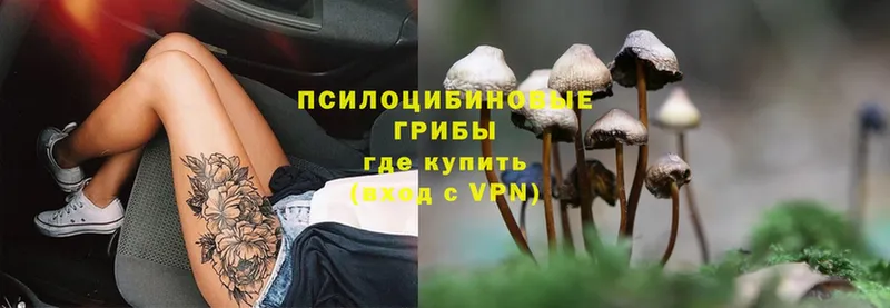 где купить наркоту  Енисейск  Псилоцибиновые грибы MAGIC MUSHROOMS 